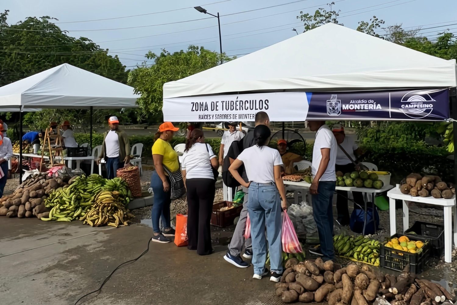 Mercado Campesino