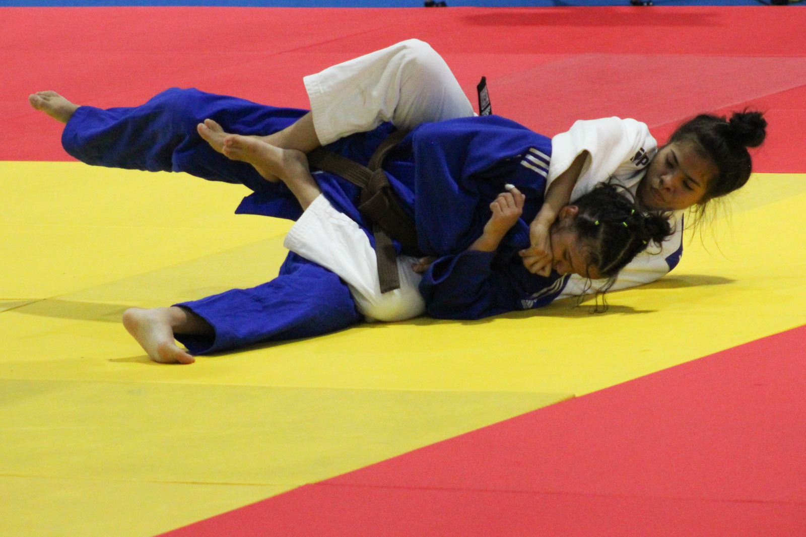 judo
