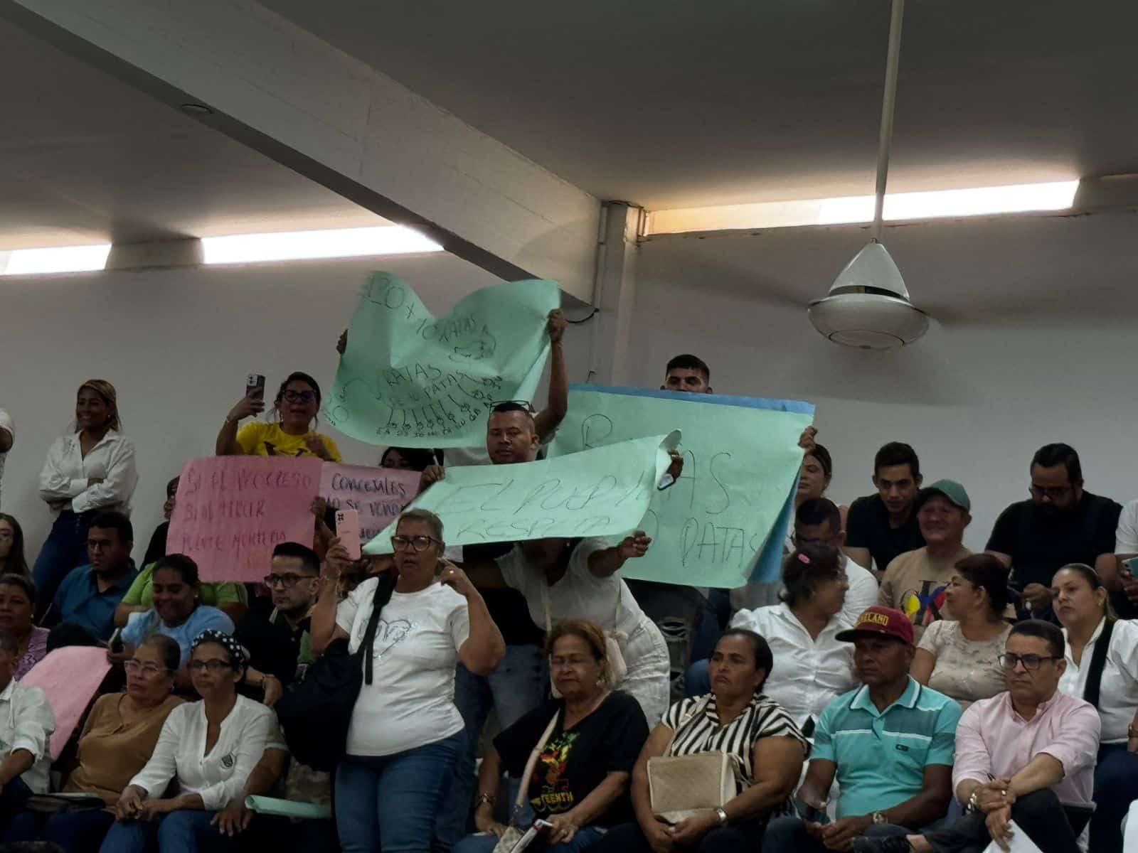 Asamblea