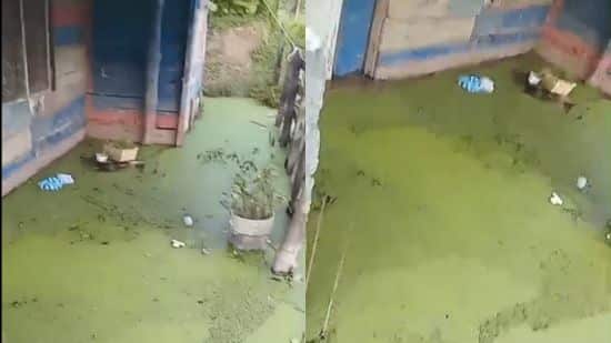inundaciones