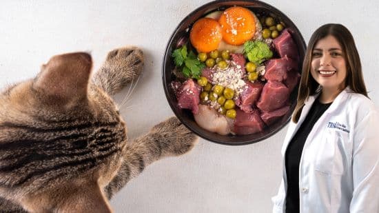 nutrición