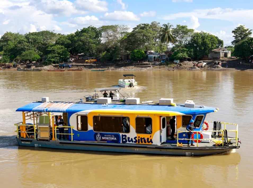 Businú