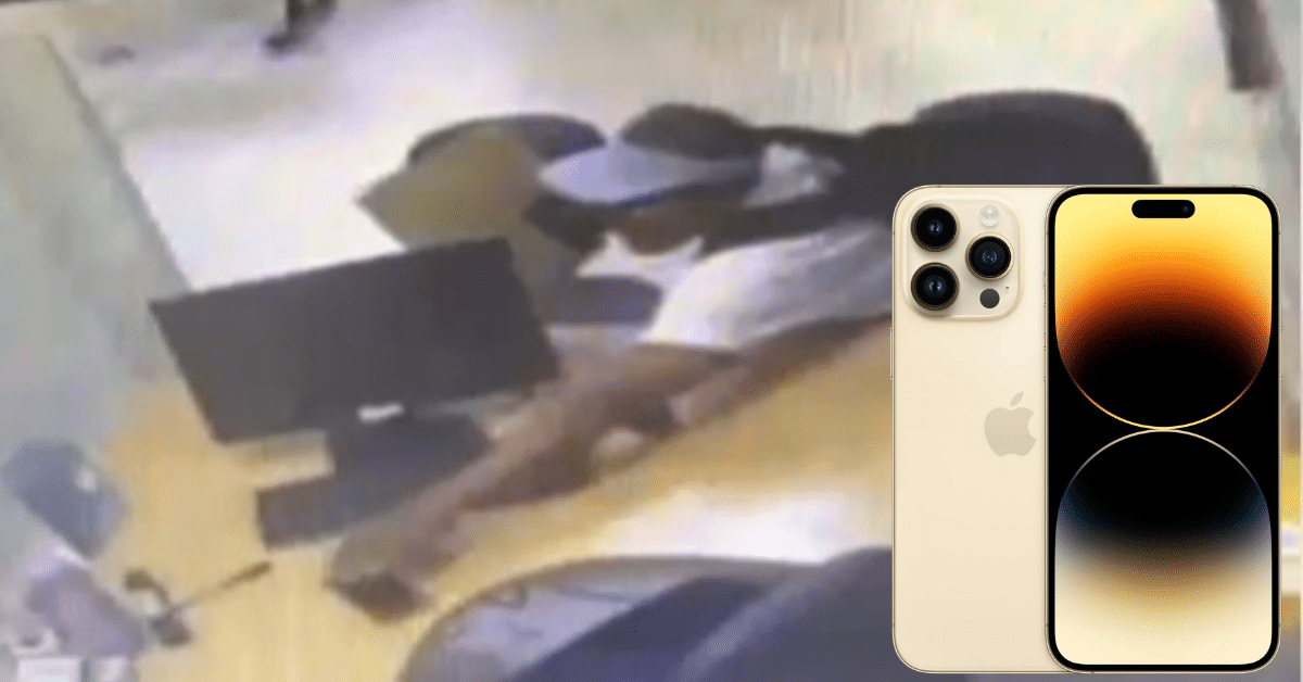 celular