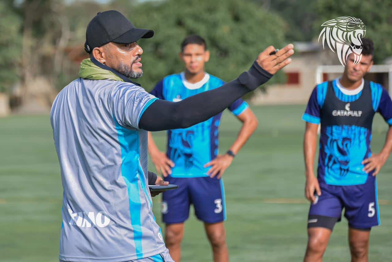 jaguares