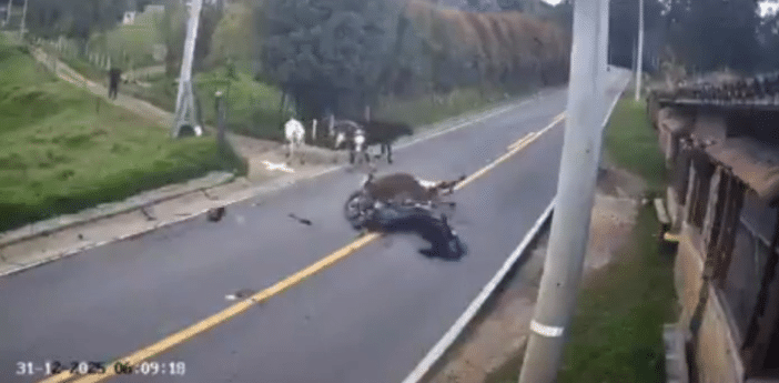 motociclista