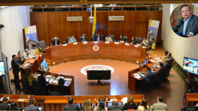 Corte Constitucional