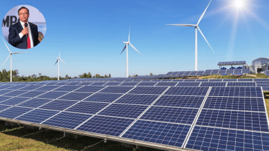 paneles solares