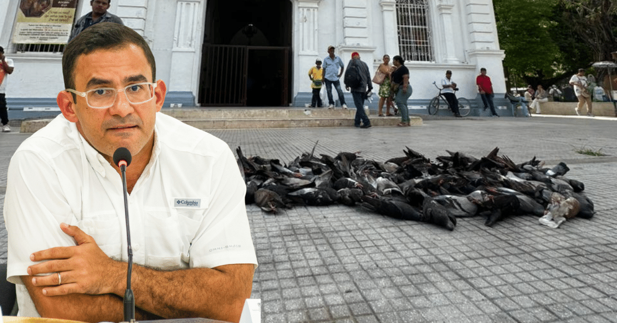 alcalde
