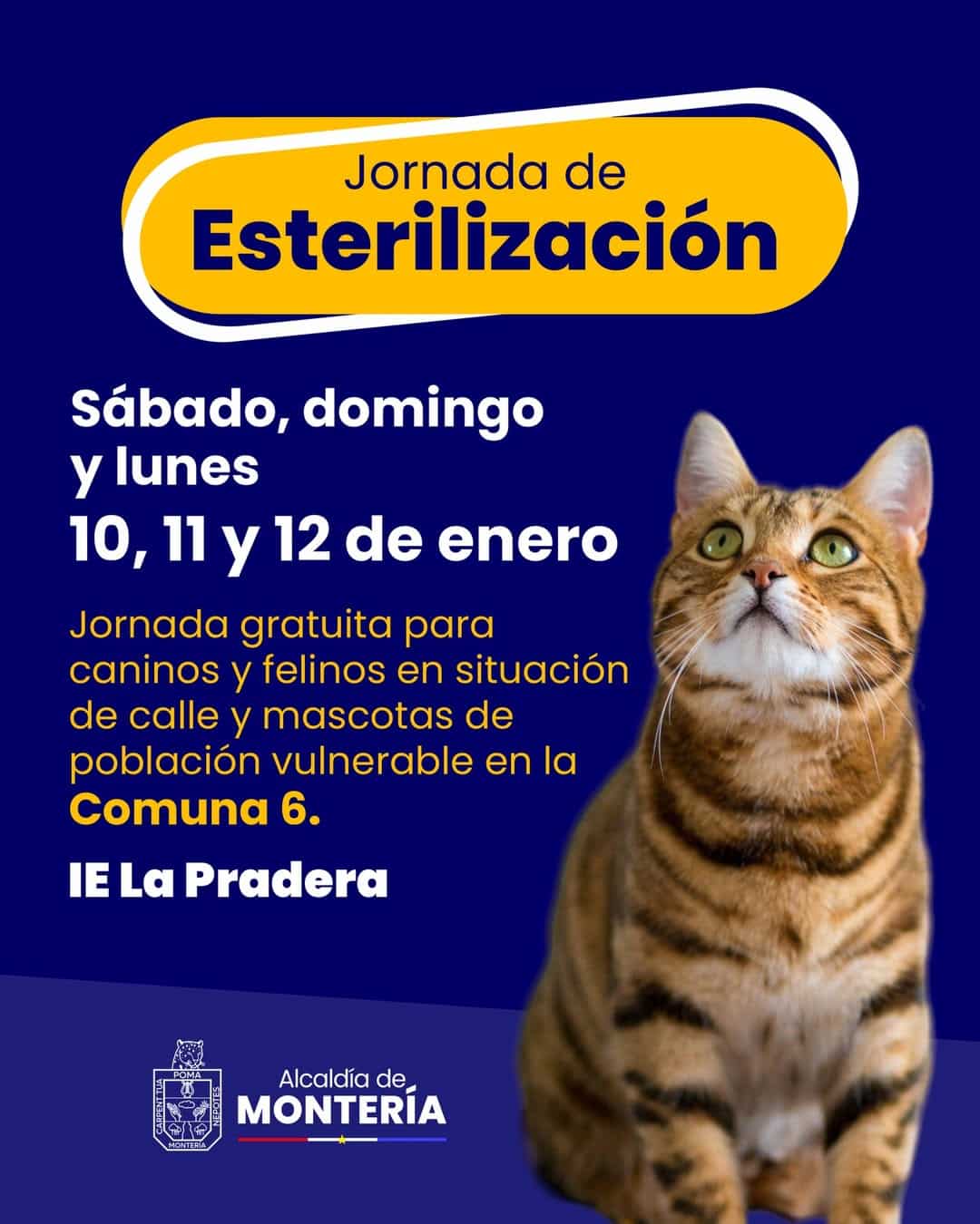 esterilización