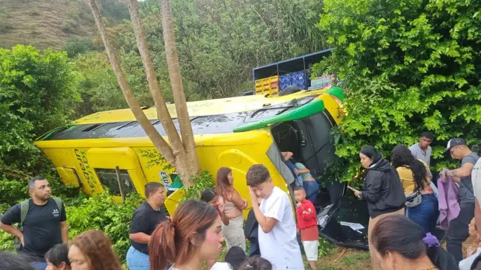 bus