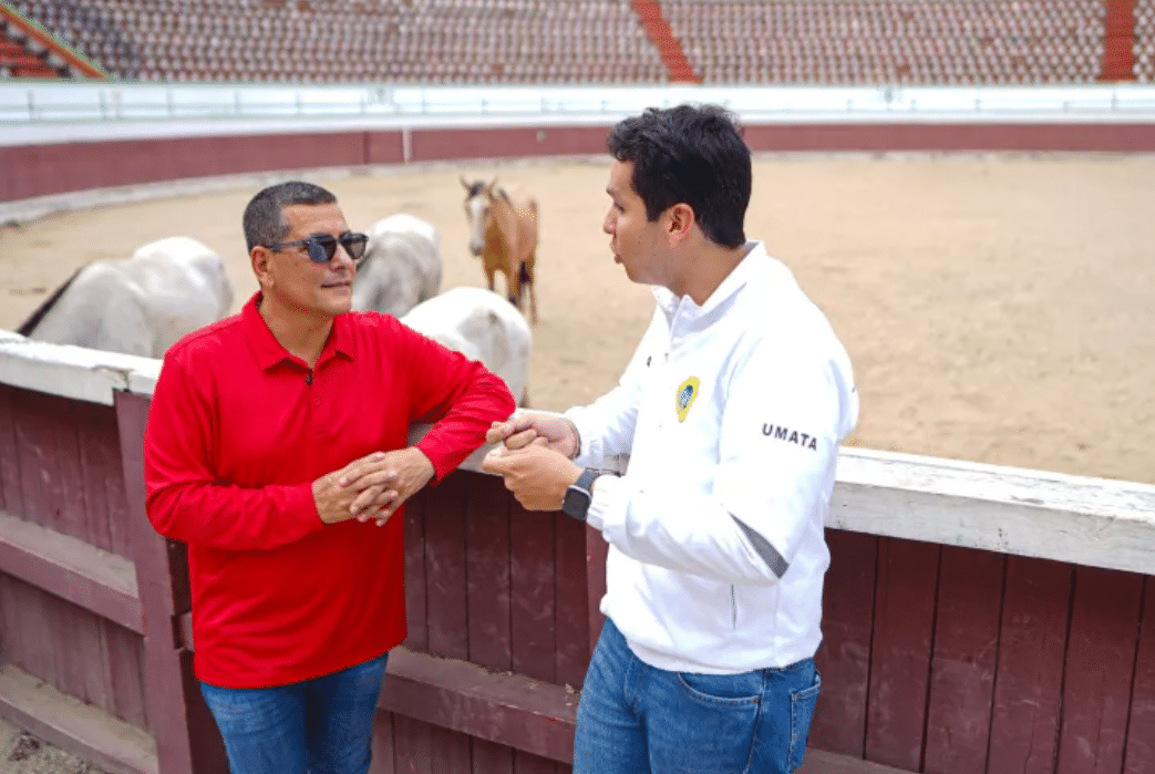 caballos