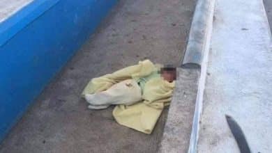bebé