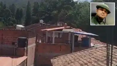 ELN