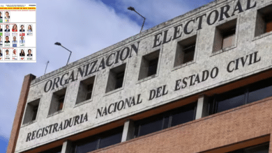 tarjetón