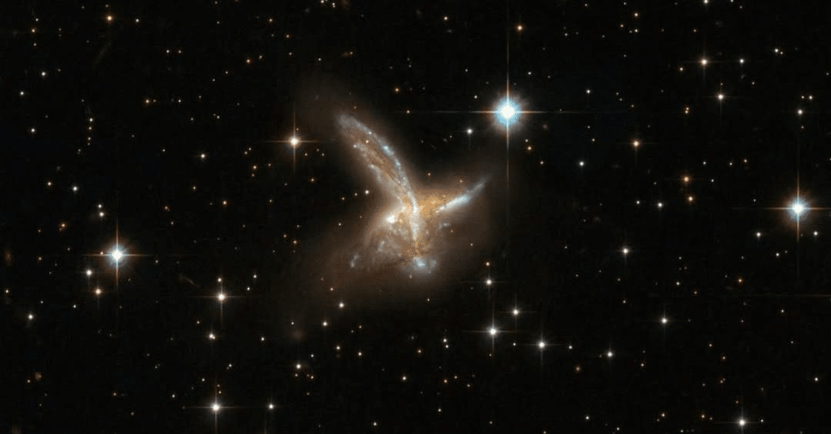 galaxias