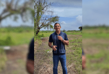 Alcalde