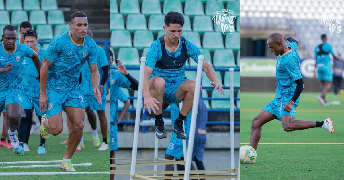jaguares