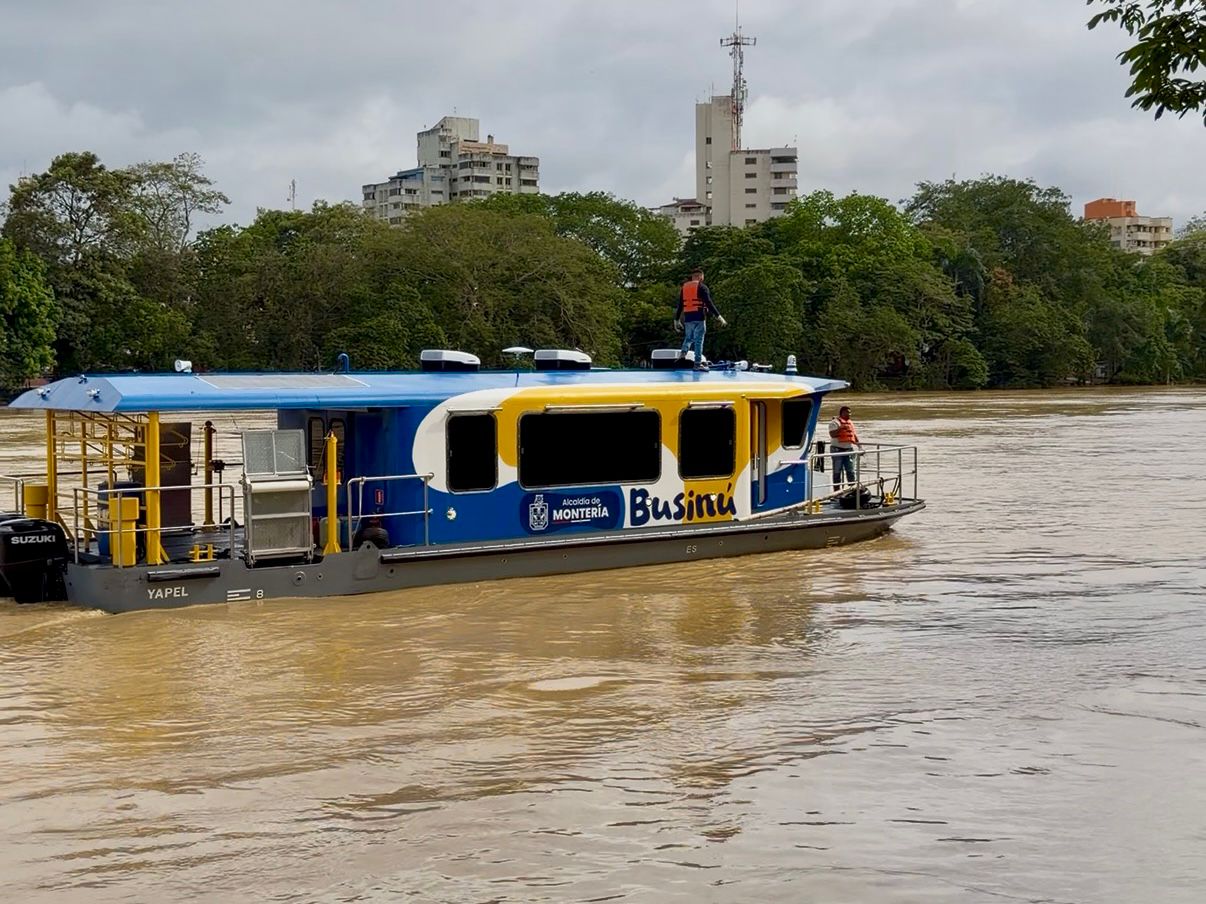 Businú