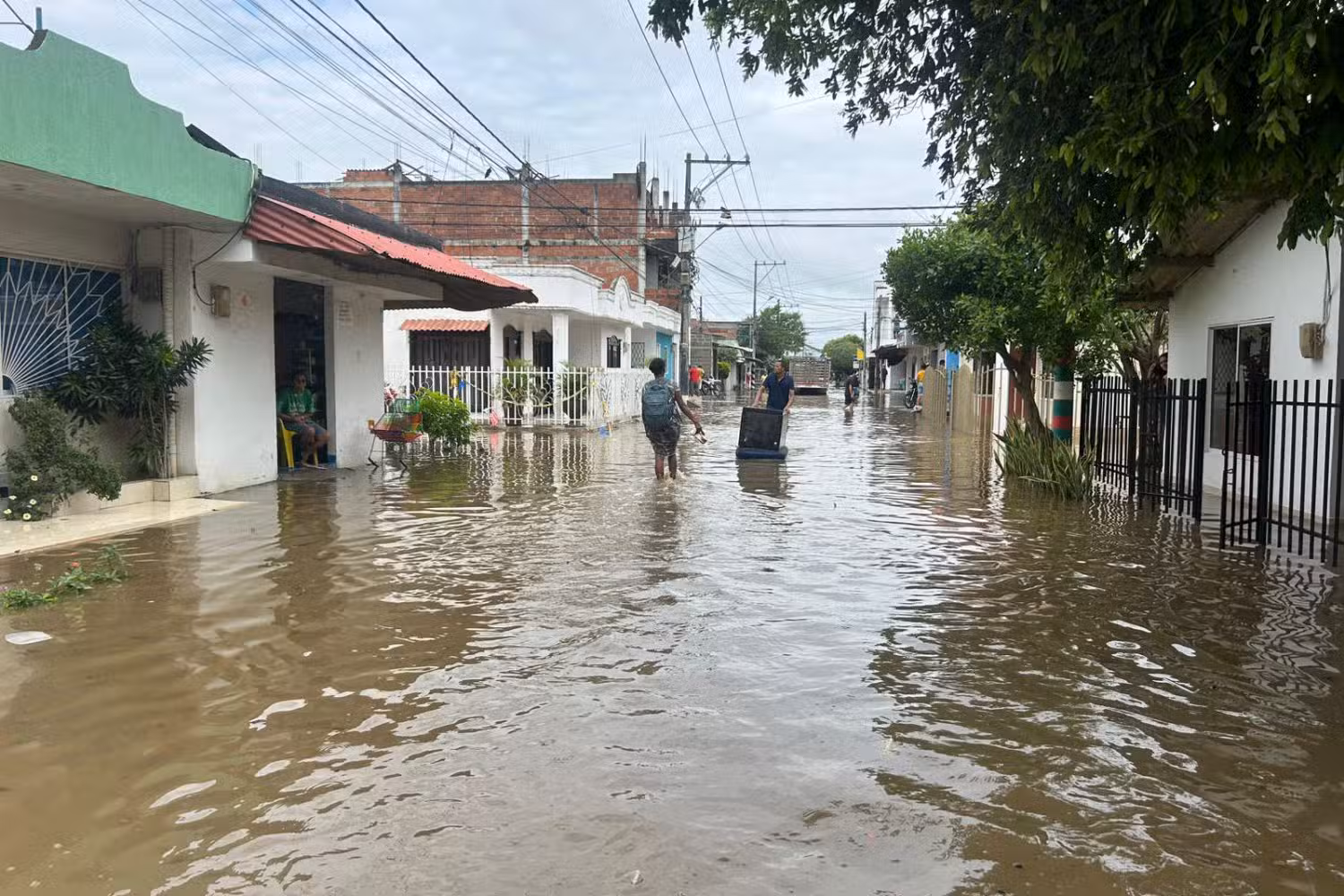 científico