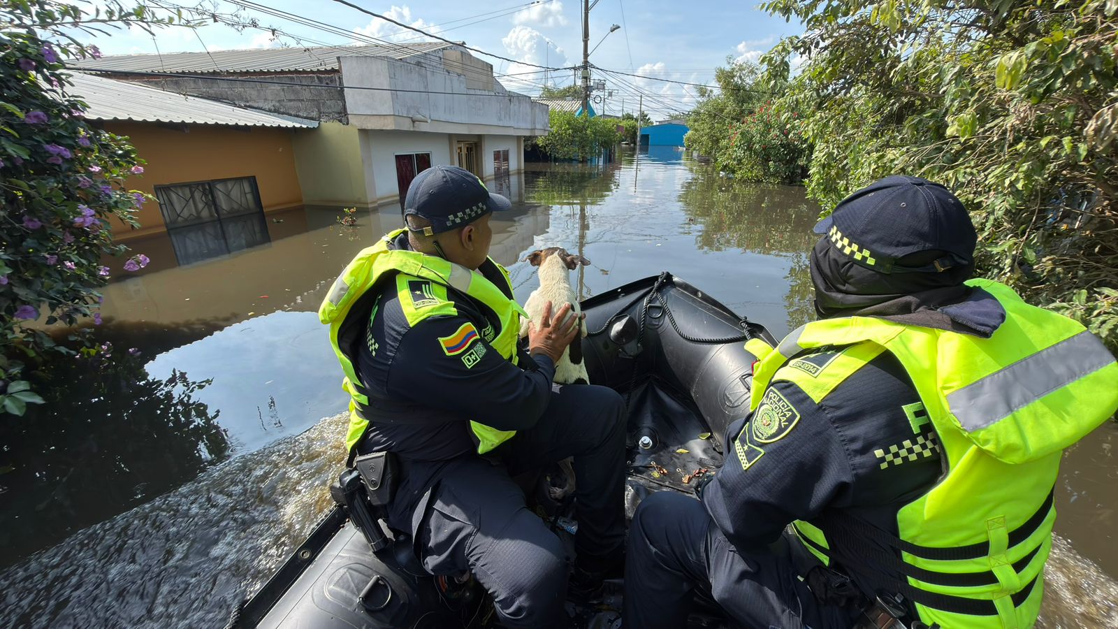 Policía