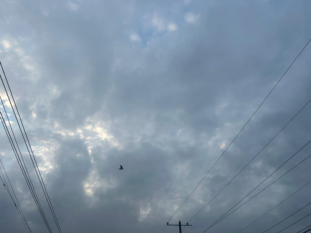 lluvias