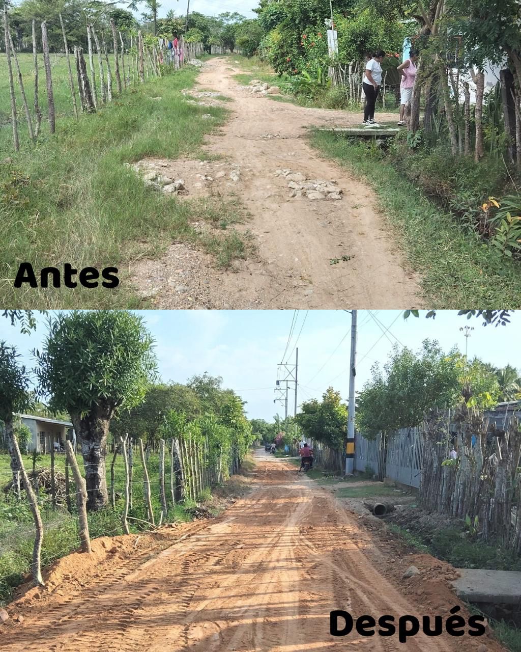 vía cereté