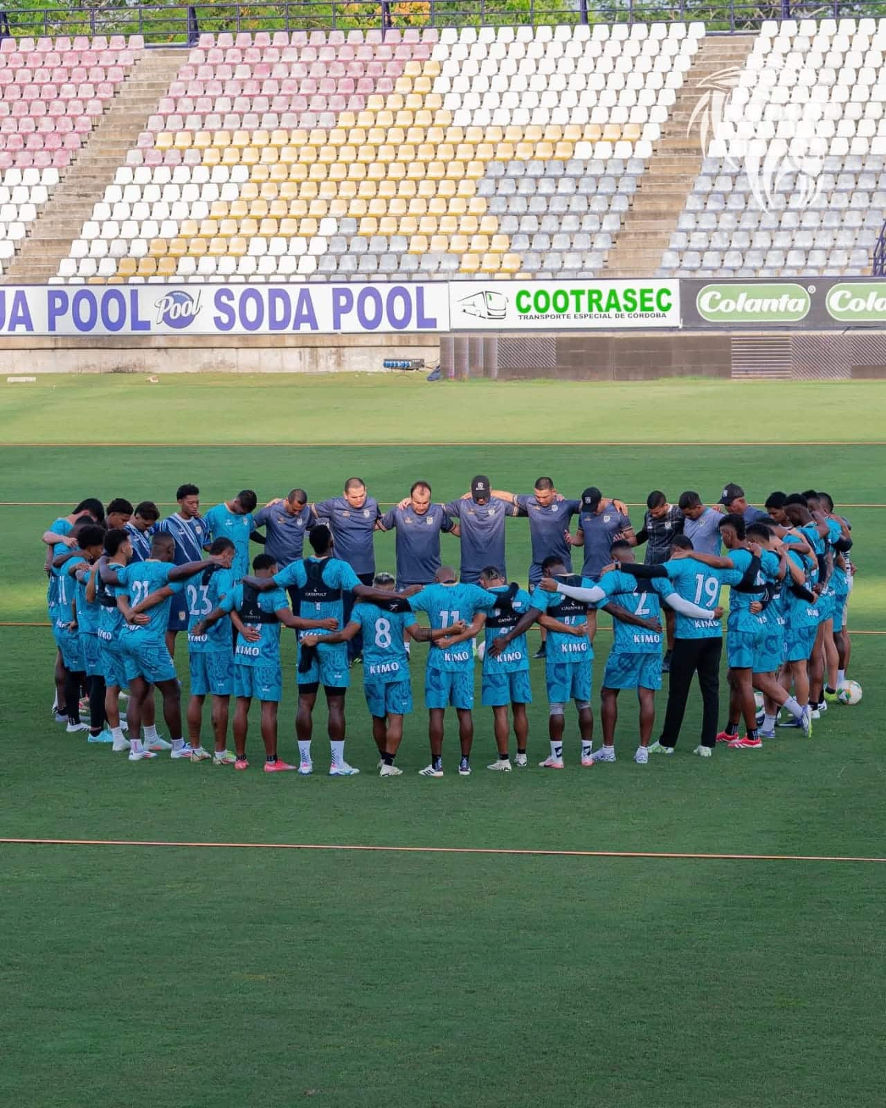 jaguares
