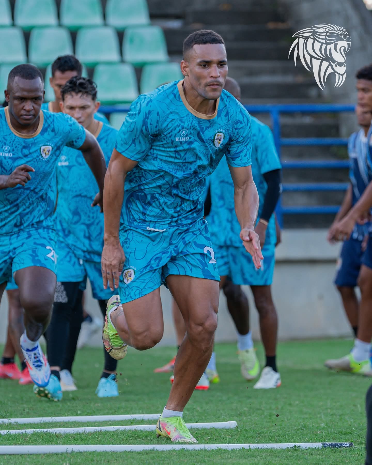jaguares