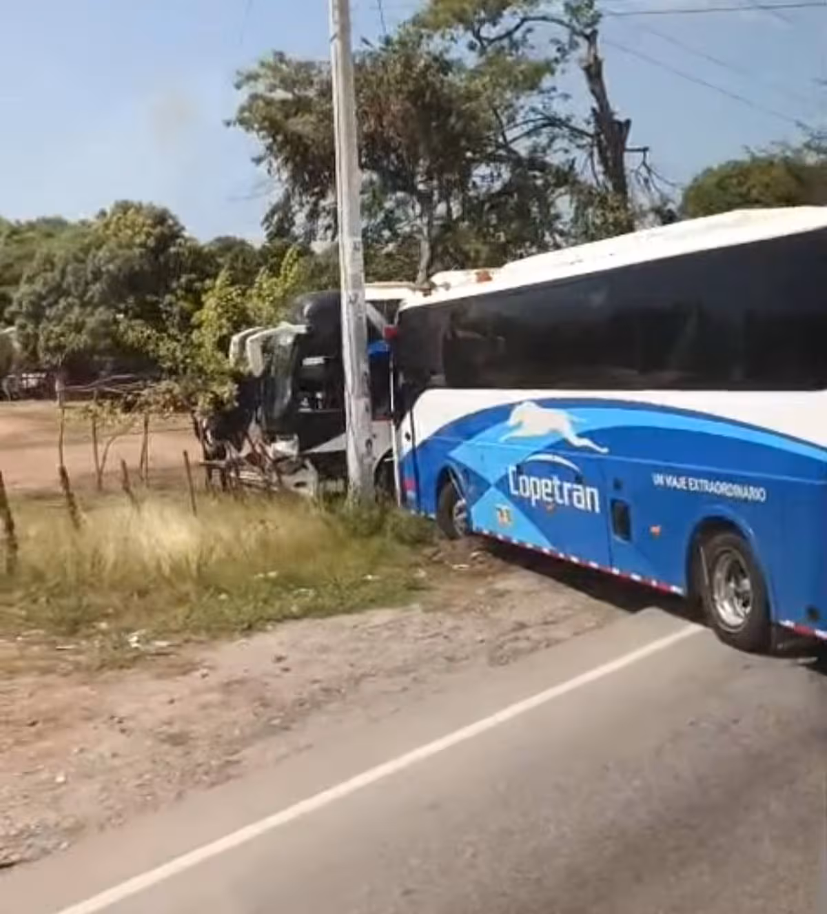bus