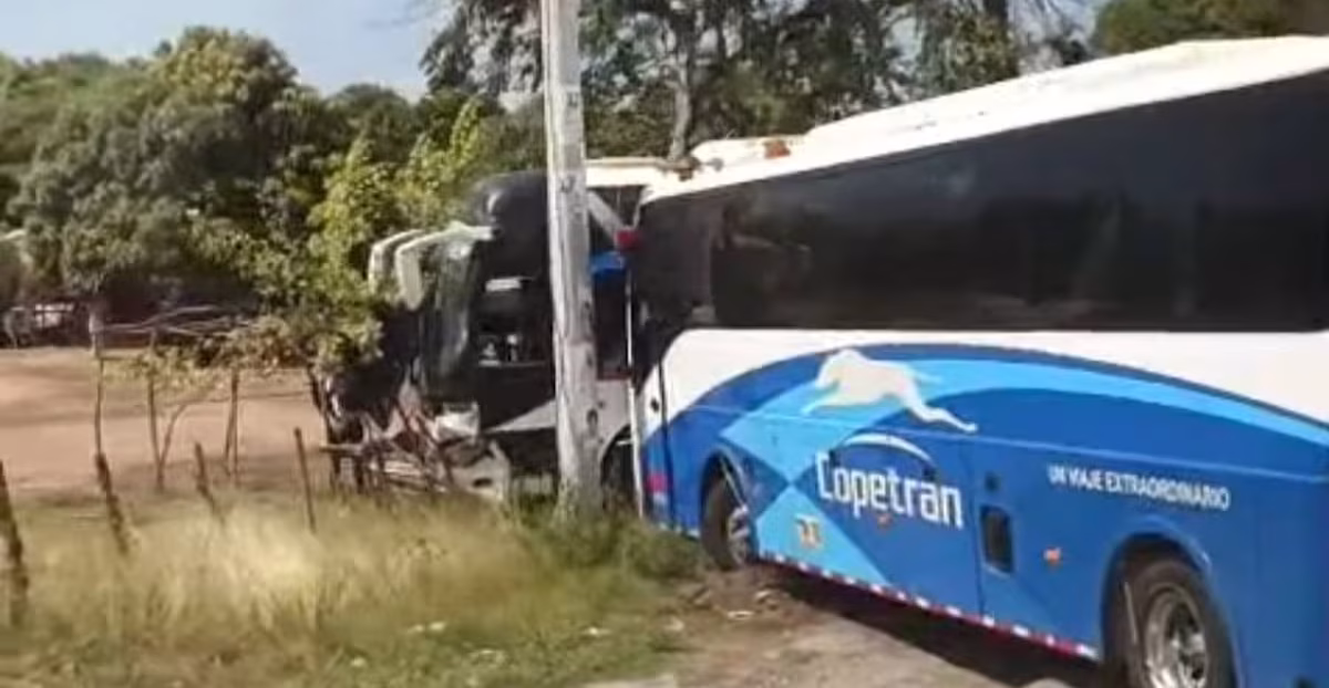 bus