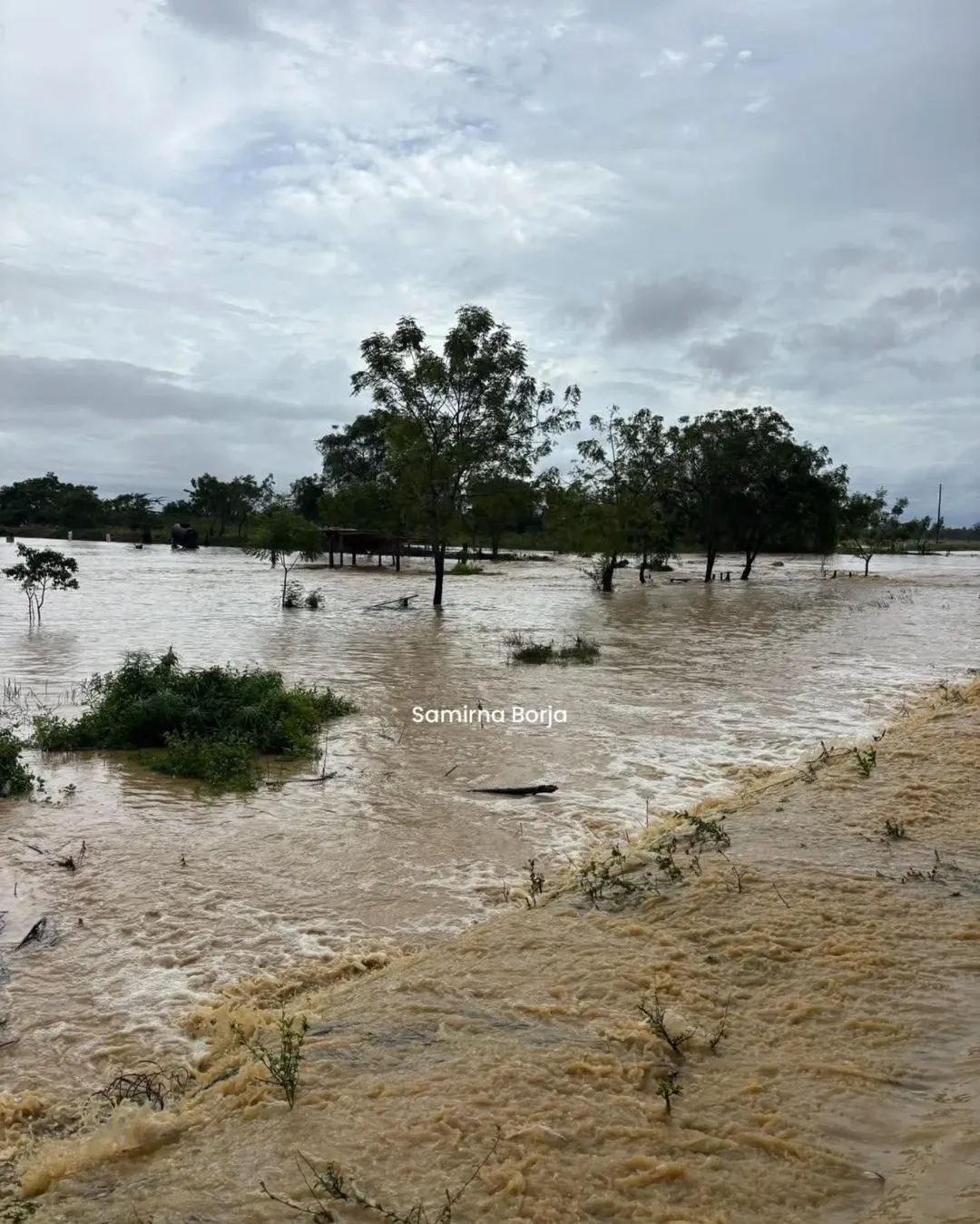 agua