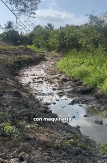 arroyos