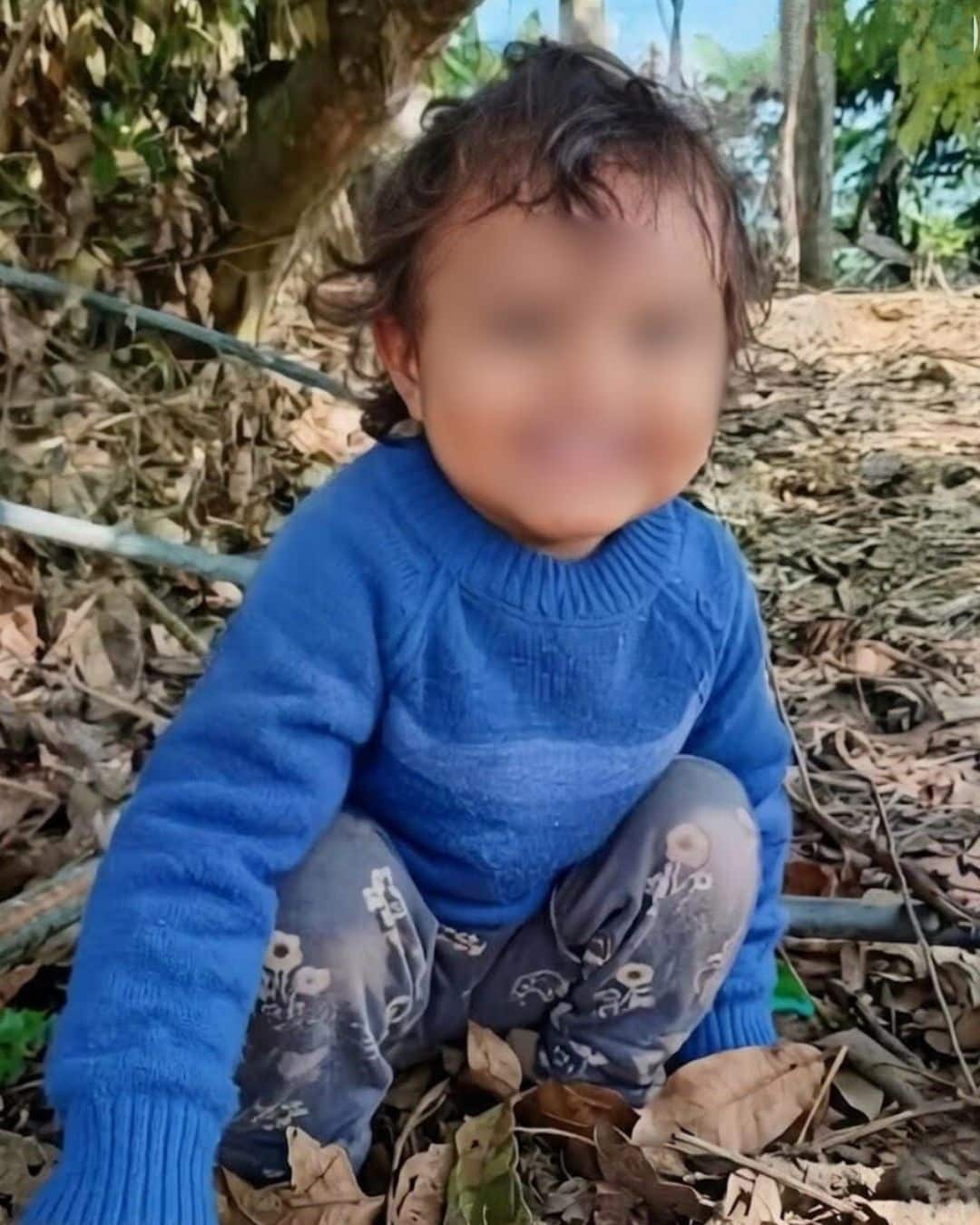 bebé