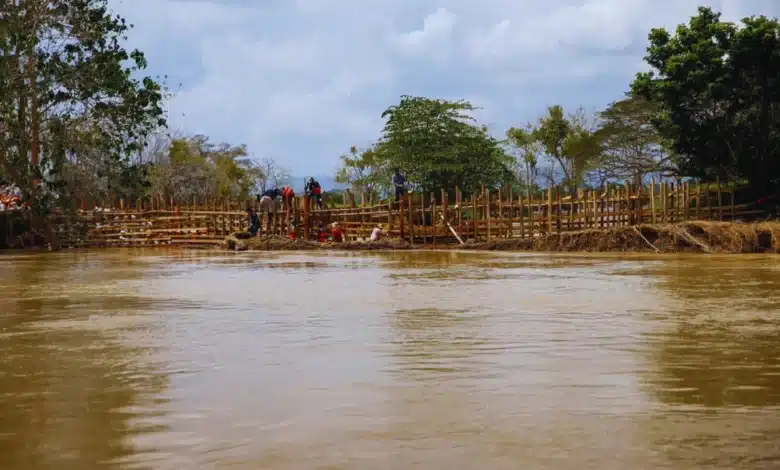 bocas