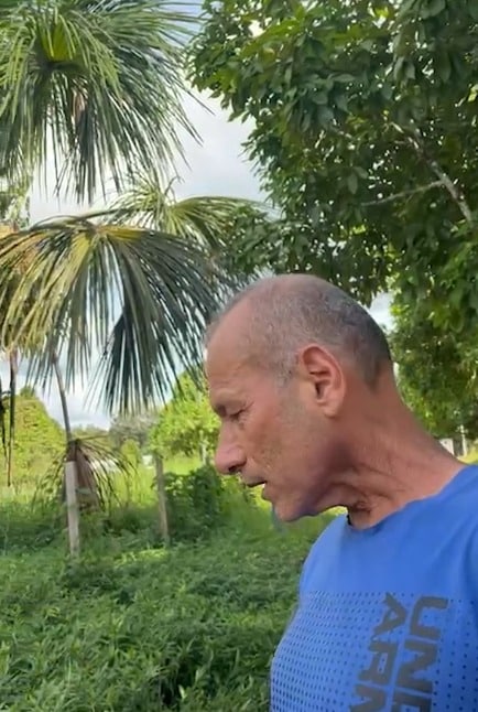 capturados