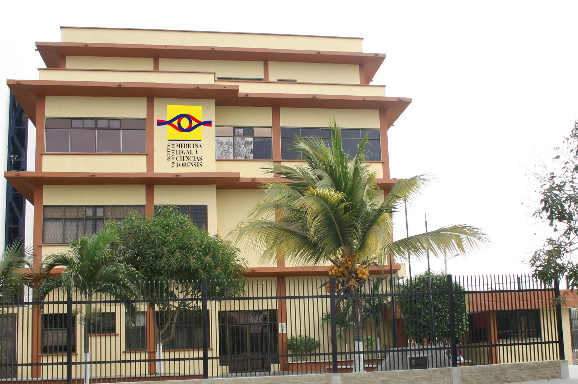 medicina ilegal
