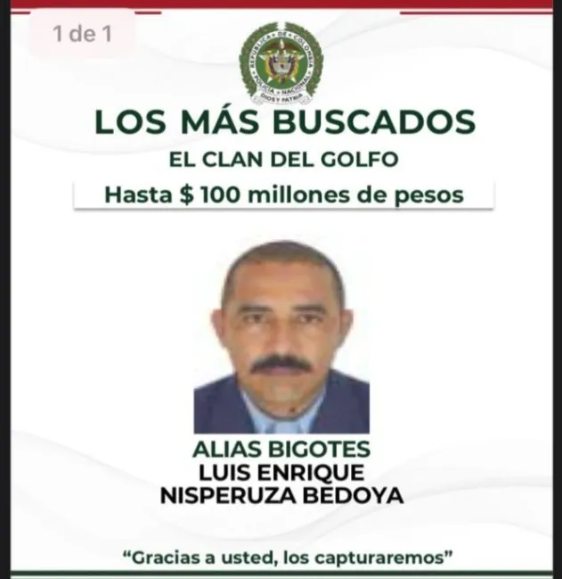 Bigote