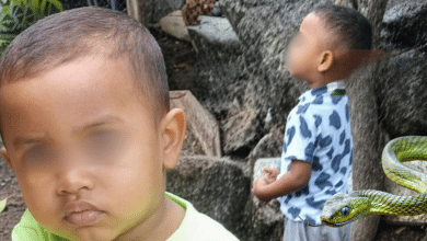niño