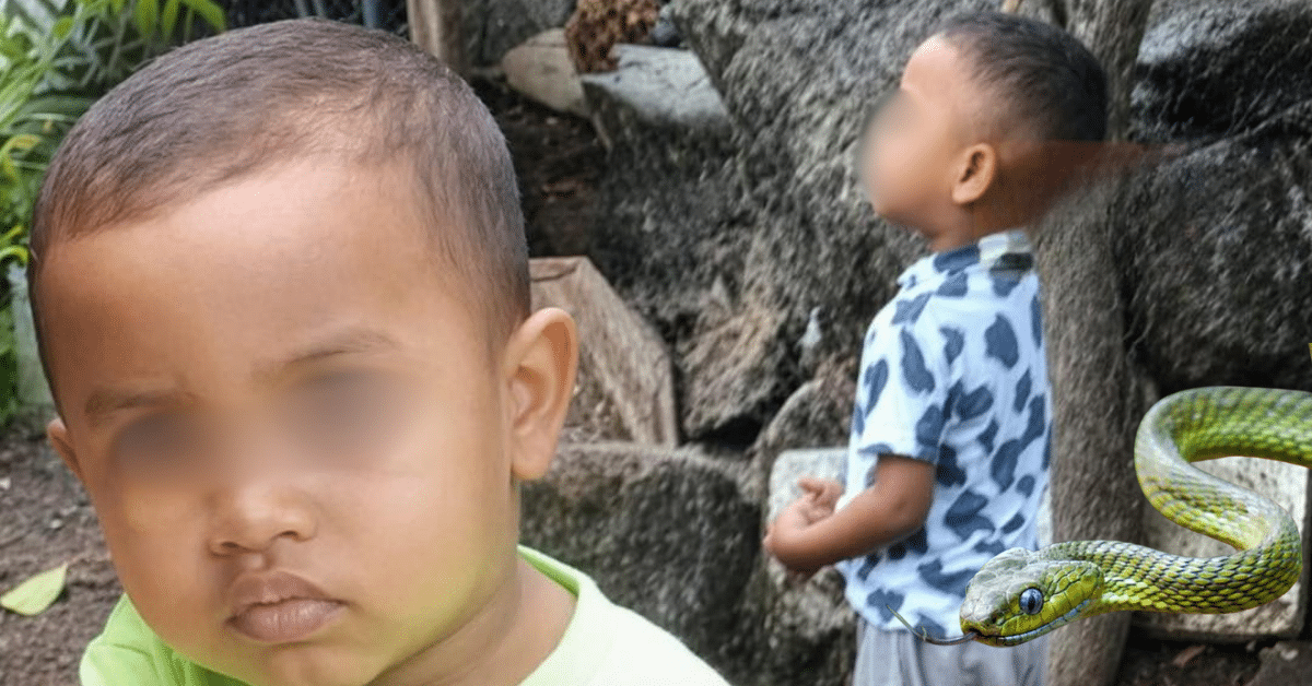 niño