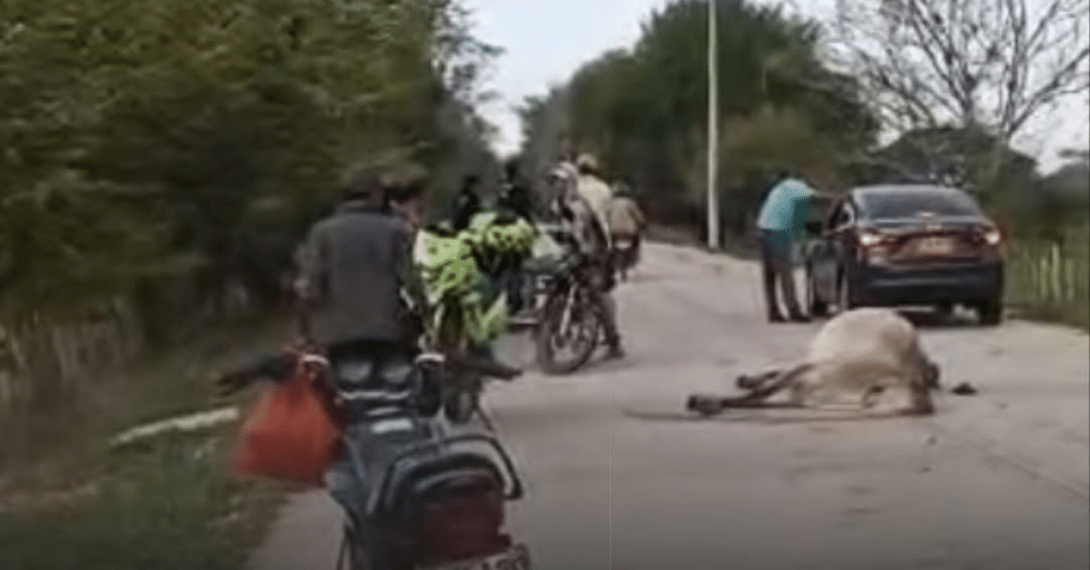 accidente