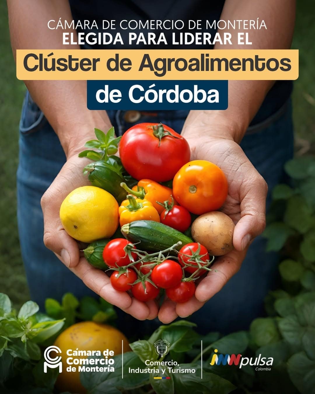 Córdoba