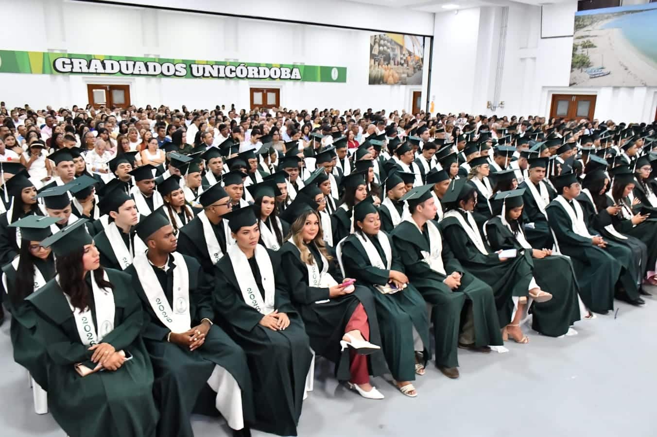 universidad