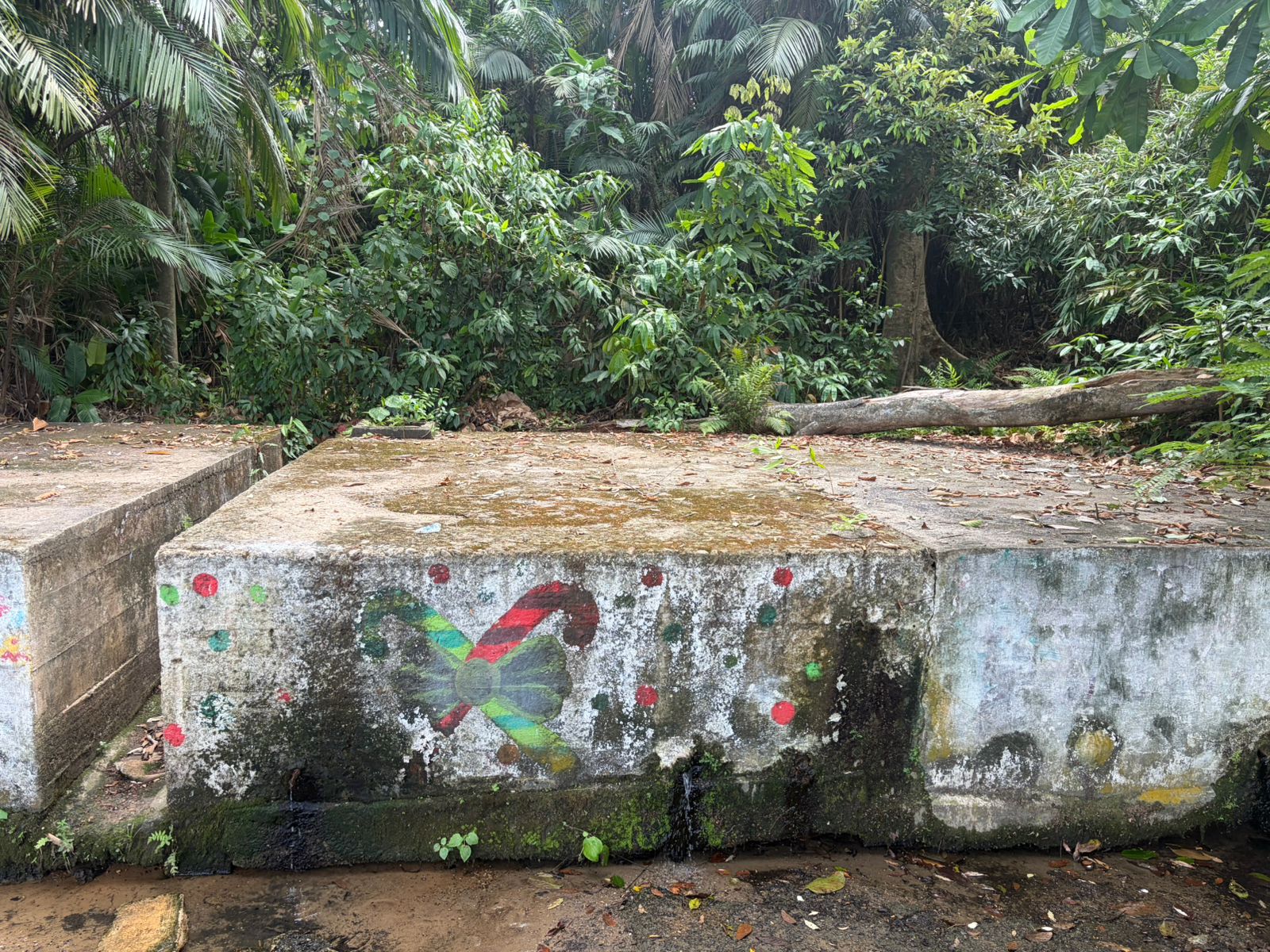 Planeta Rica