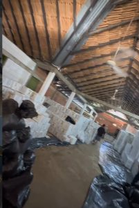 ayudas