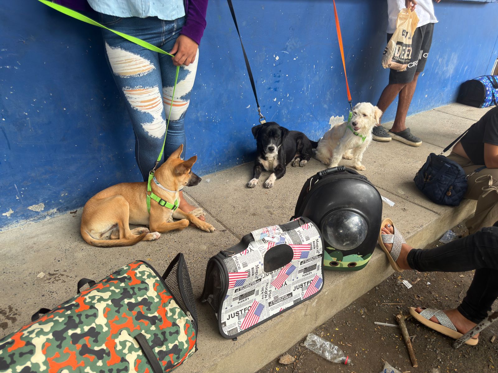 esterilizaciones