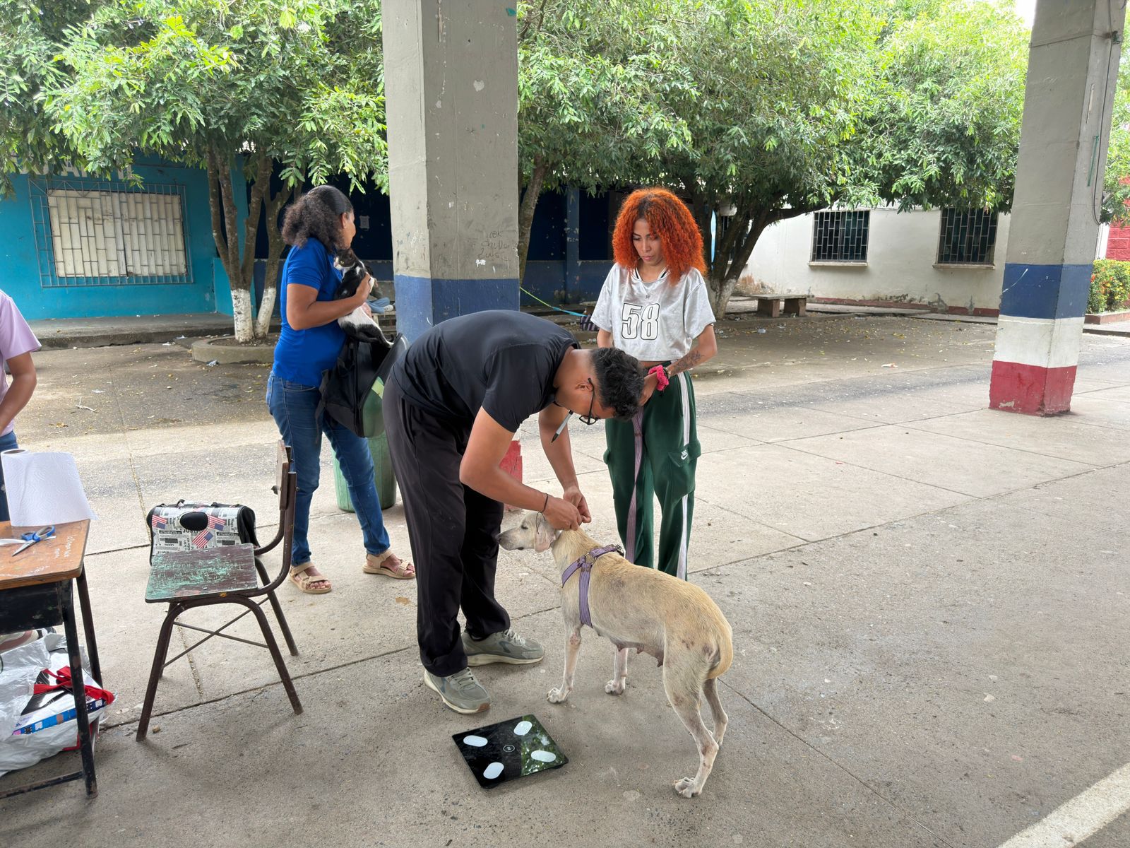 esterilizaciones