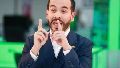 Abelardo