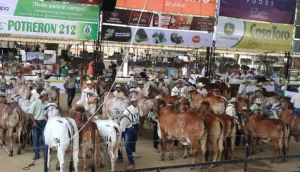 feria
