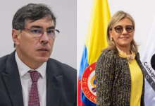 magistrados