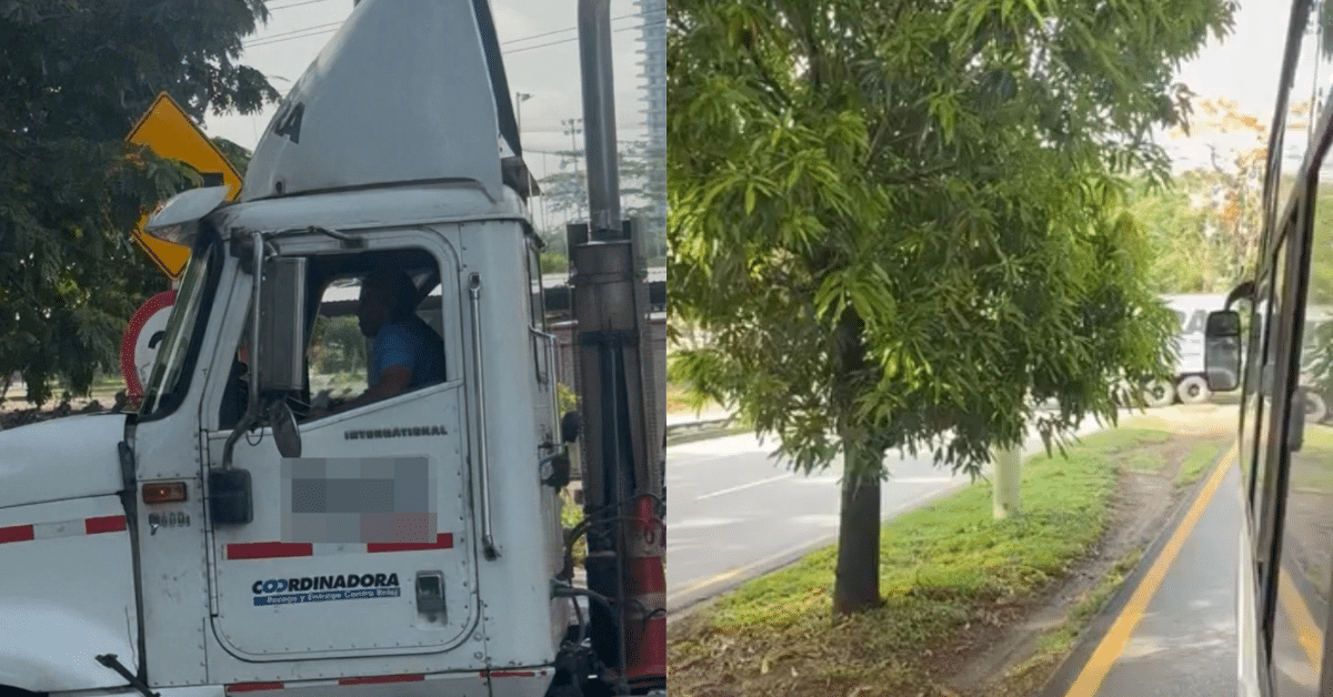 camioneta